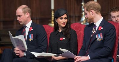 Meghan Markle's 'victim tendency' will stop Harry and William reconciling, says author