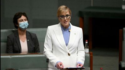 Teal MP makes pitch for climate, equality