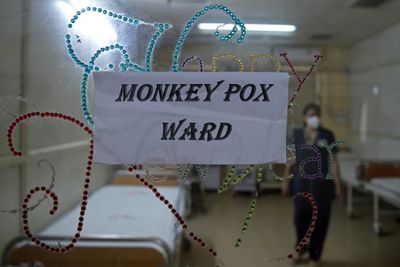 Monkeypox symptoms, diagnosis, treatments and vaccines