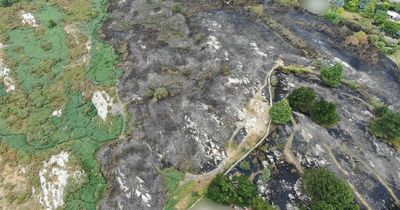 Charred aftermath of Killiney Hill wildfire pictured with Dublin Fire Brigade still at scene