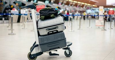 Experts share how to keep luggage safe when travelling as hundreds lose bags