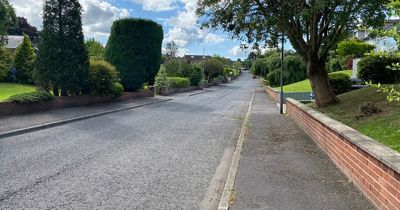 Elderly woman latest person targeted in series of burglaries in Belfast park