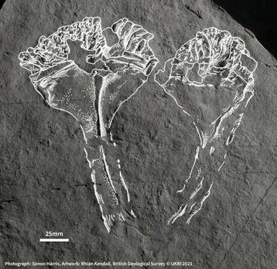 Tech & Science Daily: Fossil of ‘first animal predator’ named after Sir David Attenborough