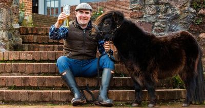 Pony appointed mayor of UK village - and he even enjoys a pint of beer