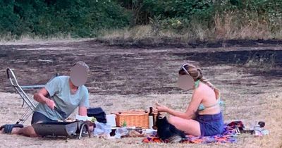 Couple slammed for having BBQ in park hours after firefighters battled blaze