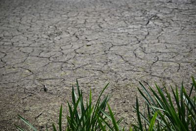 Britain begins drought planning after record heatwave