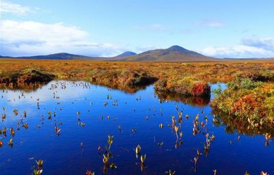 Flow Country expected to make World Heritage bid early next year