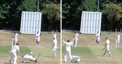 Cricketer takes 'greatest catch of all time' after bizarre rebound off wicketkeeper