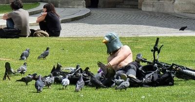 Belfast's own 'Lord of the Pigeons' ruffles a few feathers feeding the birds at City Hall