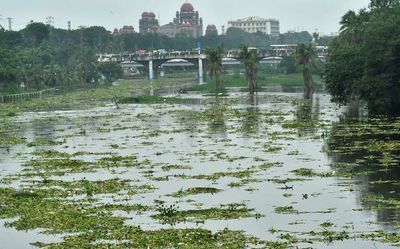 Overnight rain pounds, floods Hyderabad