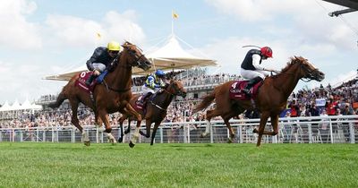Stradivarius to race on after gallant Goodwood effort behind hot favourite Kyprios