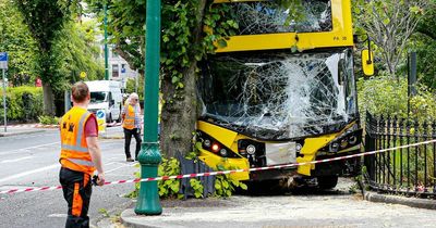 Dramatic images show aftermath of bus crash on busy south Dublin road as driver injured