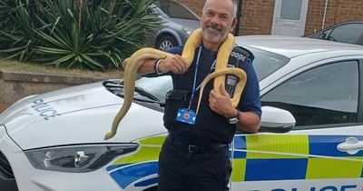 Missing Nottinghamshire snake pictured after being found in neighbour's garden