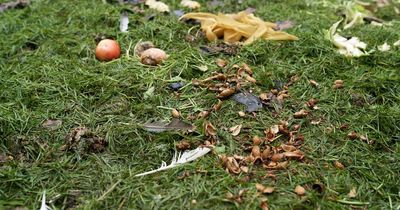 Mum slams neighbour for throwing ‘food scraps’ over fence into her garden