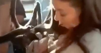 Woman brazenly boards bus with fully grown deer to outrage of squashed passengers