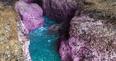 Couple die after being swept off rocks at tourist spot popular for Instagram photos