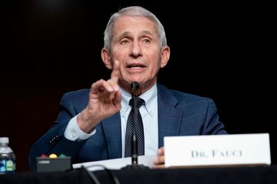 Fauci says government must understand 'profound risk' of monkeypox to control spread