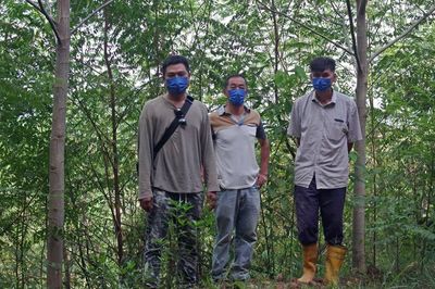 Warning of ecological disaster over Malaysia forest plantations