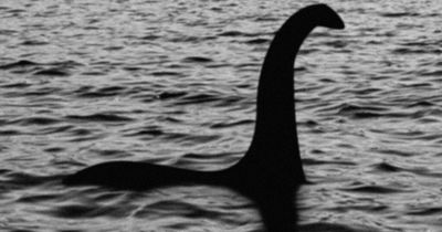 Loch Ness monster declared 'plausible' by scientists after eye-opening discovery