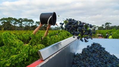 Australian export wine markets emerge in wake of China tariff increase