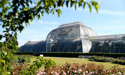 Kew Gardens secures a multimillion-pound climate change investment