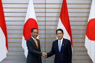 Japan, Indonesia to boost naval security ties as China rises