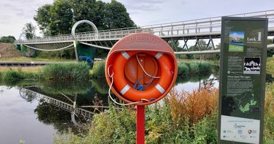 River Lagan incident: Members of public save 'male in distress'