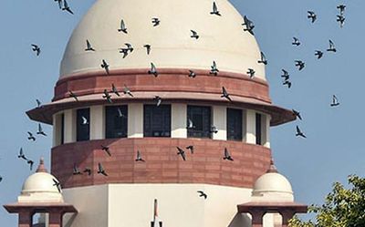 Supreme Court agrees to hear pleas of Jharkhand Govt, CM against HC order on PILs for probe into graft charges