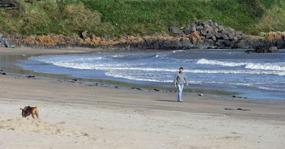 New swimming ban brought in on popular north Dublin beach due to high levels of bacteria