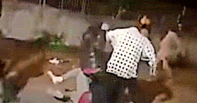 Gang use golf clubs and wheel braces in vicious brawl caught on camera in Duleek, Co Meath