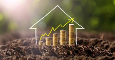 Property experts explain how to beat competition to secure your dream home and four other tips
