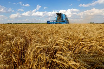 Russian official says grain deal could collapse unless obstacles to Russian exports lifted