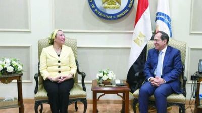 Egypt Seeks to Reduce, Capture and Store Carbon