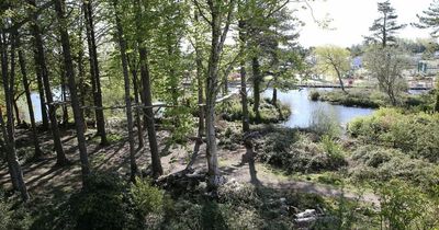 Woman receives backlash after claiming locals were 'hostile' to English during trip to Wales