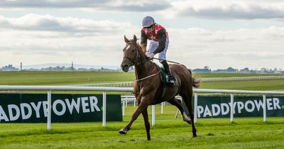Galway Races day 3 tips for all seven races as Galway Plate takes centre stage