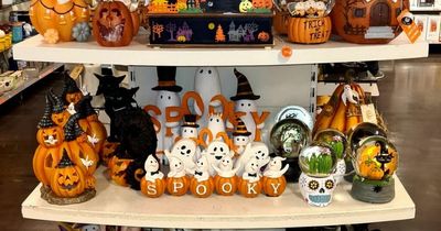 A bit too soon? One Dublin shop selling Halloween decorations in July