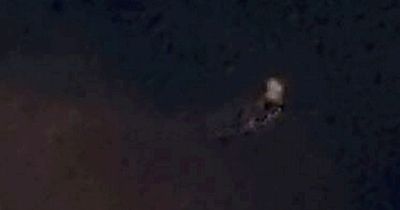 Doctor captures baffling footage of 'UFO' while taking out the bins