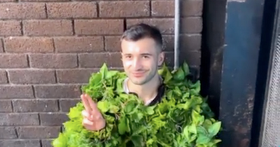 TikTok ‘bushman’ scares Dublin gardai in St Stephen’s Green prank