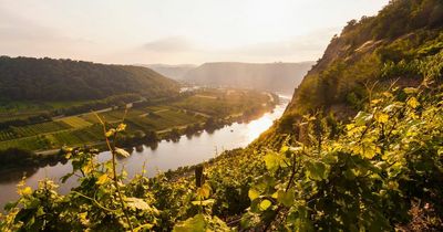 Discover wines of France and Portugal on board rail and river cruise trips