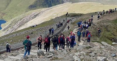 Walker dies after Snowdon fall