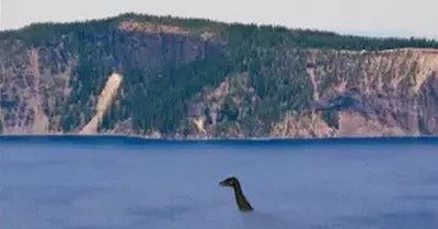 Loch Ness Monster's existence now 'plausible' after fascinating new discovery