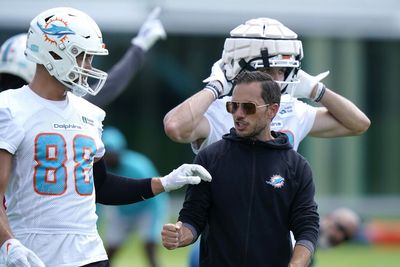 Mike McDaniel shares his vision for first Dolphins training camp