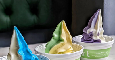 Frozen yoghurt fans can get free desserts at Frurt this Friday - depending on where they stand in the queue