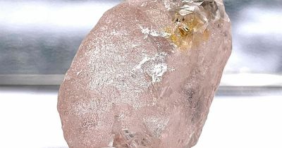 Miners stumble on largest pink diamond found in 300 years worth 'tens of millions'