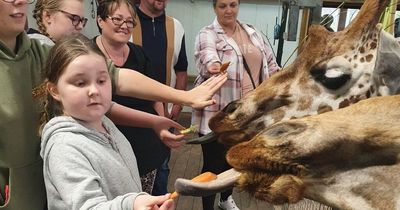 Nine-year-old Lanarkshire girl fulfils dream of feeding animals during VIP safari park visit