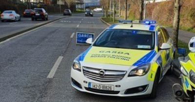 Garda checkpoints: Officers target drivers with specific crimes tracked during multi-agency stop