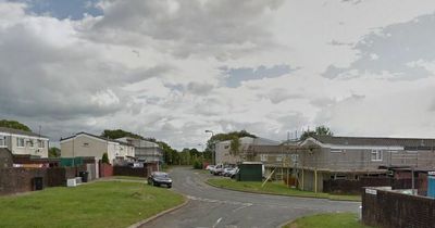 Police issue appeal after man stabbed in Cardiff