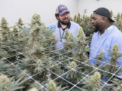 Baseball Legend David 'Big Papi' Ortiz Gets Into Weed, Will Launch Cannabis Line With Rev Brands