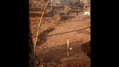 Rahul Gandhi asks CM Ashok Gehlot to help Rajasthan boy practising bowling using fishing net