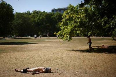 Heatwave: England’s driest July since 1911 and the second on record